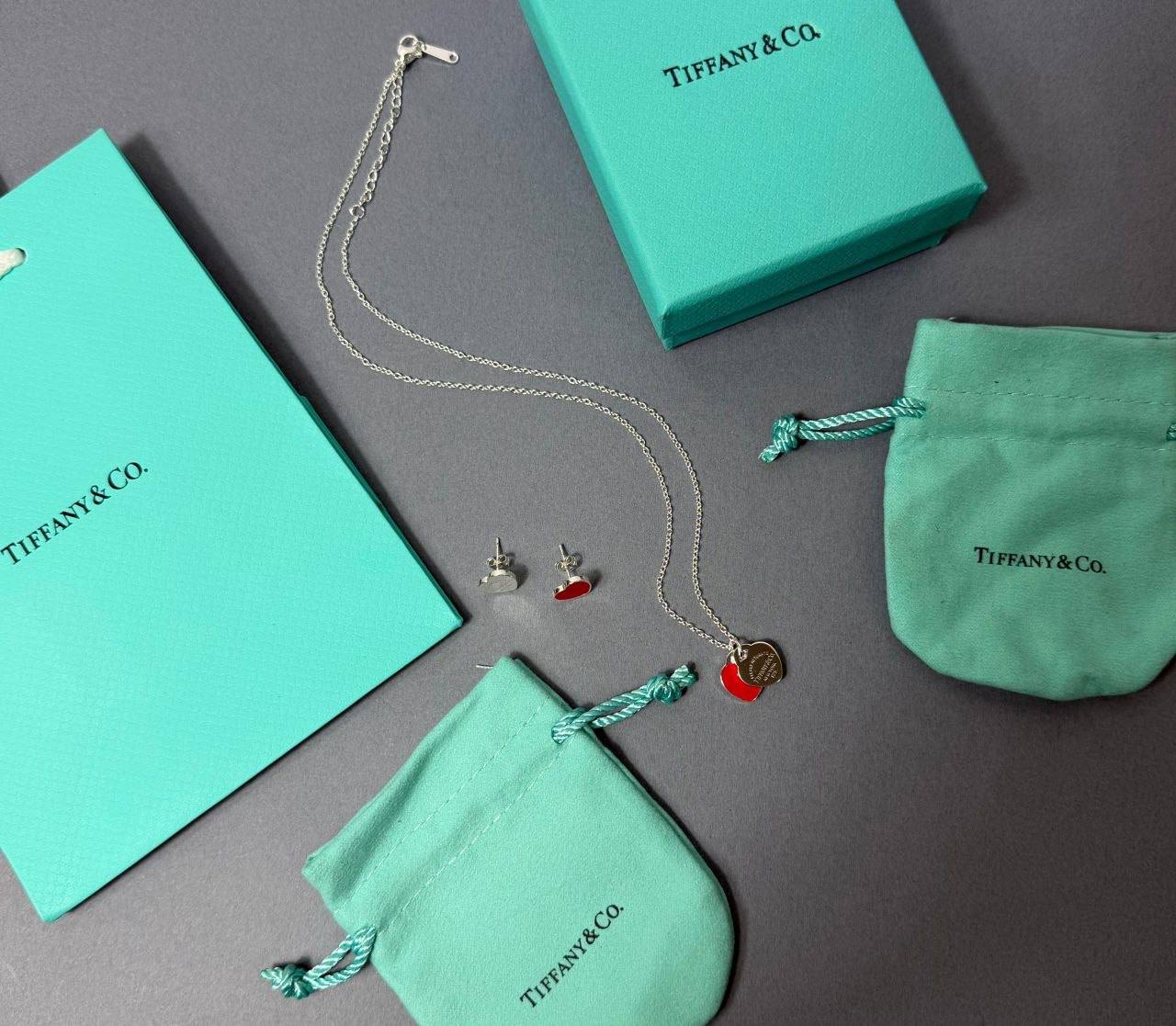 TIFFAN &CO NECKLACE AND EARRINGS SET sa1605