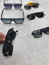 LV SUNGLASSES COME WITH BOX ETC am2905