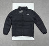 Northe facee jacket na0210