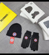 QUALITY CANADA GOSE HAT AND GLOVES SET ak0210
