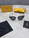 LOEW SUNGLASSES COME WITH BOX ETC am3007