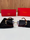Cartie sunglasses jj0108
